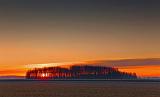 Sunrise Behind Trees_10566-7